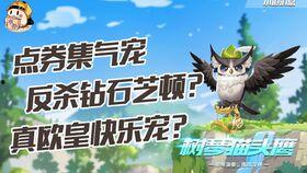 飞车最新爆料宠物,萌宠助力,畅游速度与激情世界 第2张 飞车最新爆料宠物,萌宠助力,畅游速度与激情世界 第2张