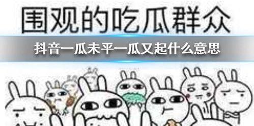 抖音吃瓜免费入口,畅享热门资讯,轻松解锁精彩瞬间 第2张 抖音吃瓜免费入口,畅享热门资讯,轻松解锁精彩瞬间 第2张